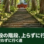 杉の大木に囲まれた箱根神社の正参道の石段を下から見上げた景色