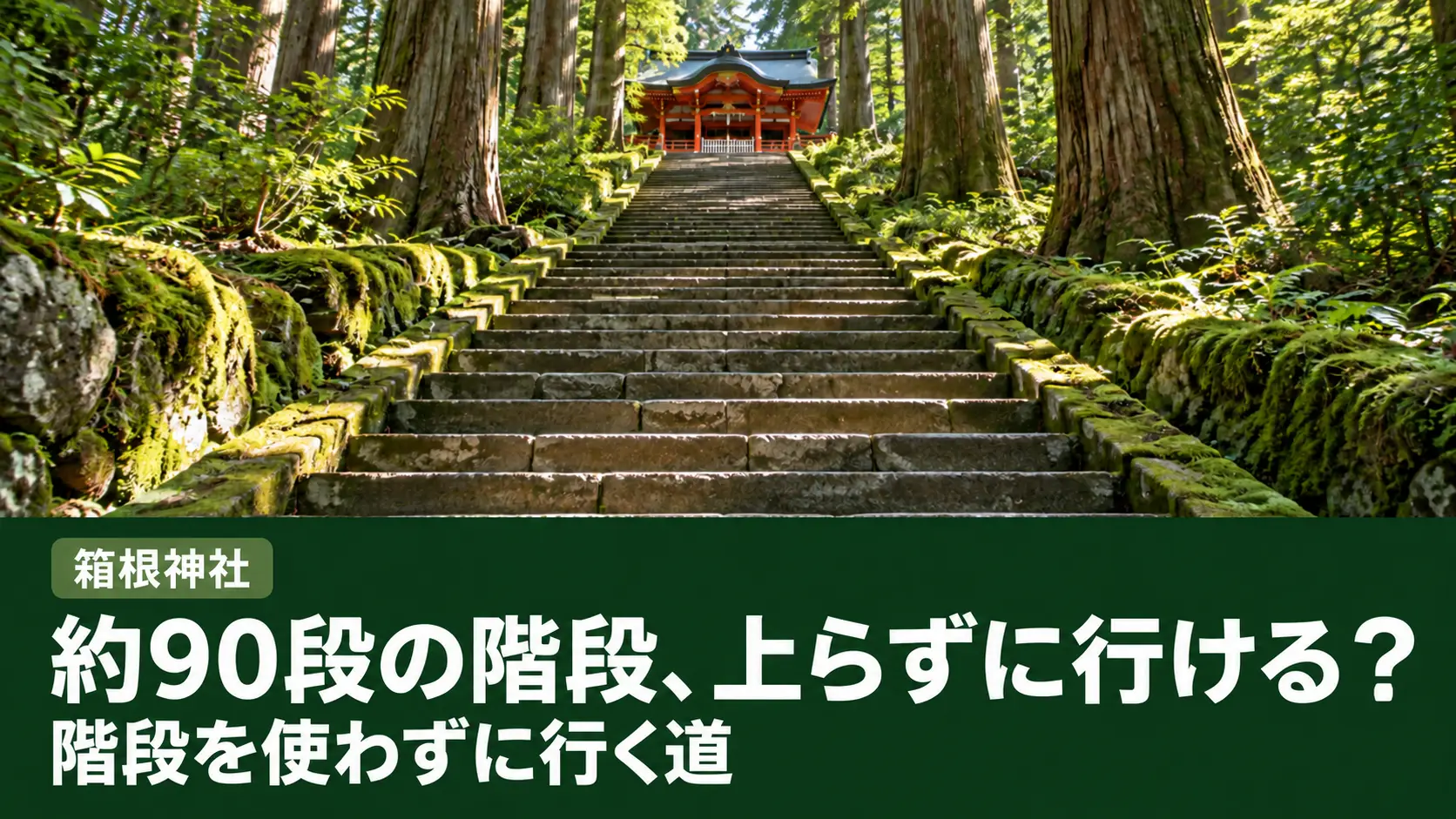 杉の大木に囲まれた箱根神社の正参道の石段を下から見上げた景色