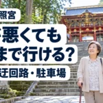 杖をついた母親と娘が古い石段の手すりの前で上る場所を確かめる様子